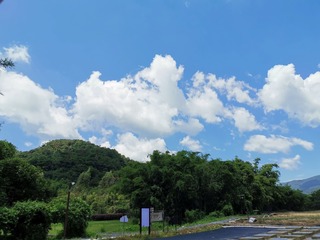 12013