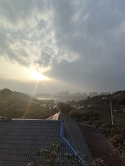 1000017646