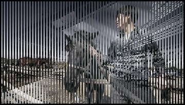 _MG_7700-1