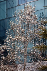 ESS_5733-N-I