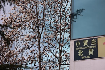 ESS_5950-N-I