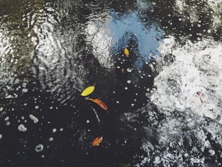 123