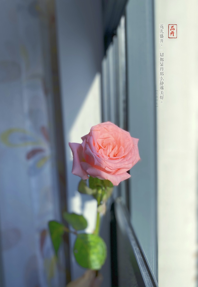 早晨窗边的第一缕阳光图一原图or图二 滤镜选择困难症