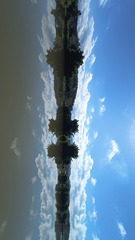 1000005329