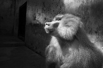 DSC00468副本.jpg