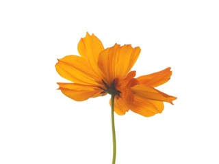 1603
