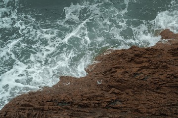 1000003169