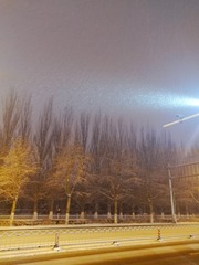 1000013325