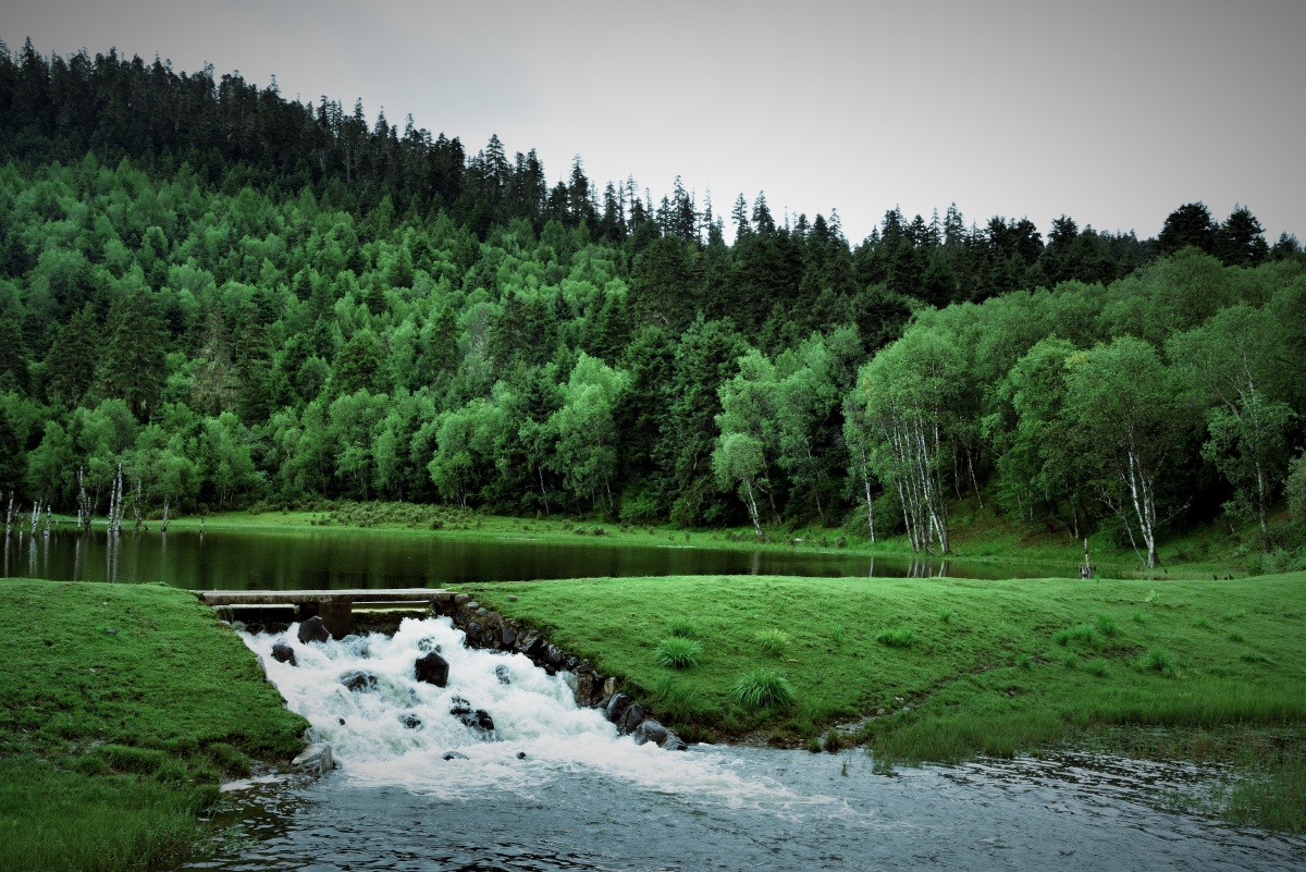 普达措国家公园,纯粹的原始自然生态