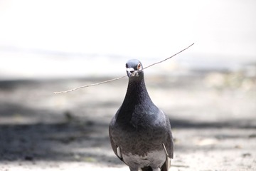 75191