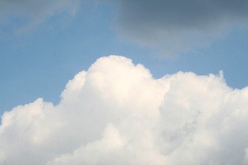 19044