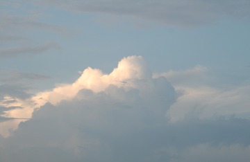19077