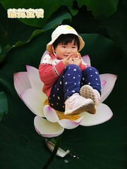 651158