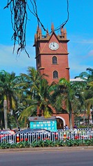 2012-12-01_11-53-31_HDR