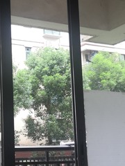 IMG_20250712_150208