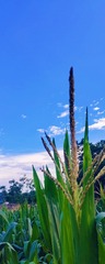 MEITU_20250716_192349716