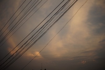 1000030317