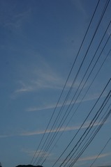1000030314