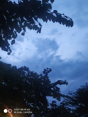 3797772