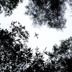 741103588056166075