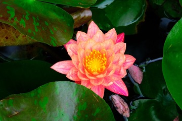 001