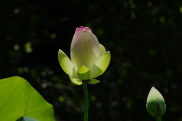 001