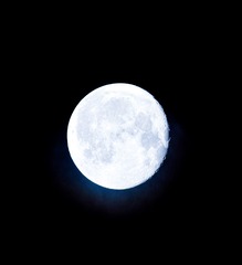 1000026249