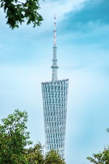 1000063616