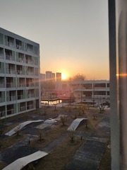 1000303653
