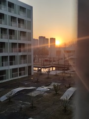 1000303655