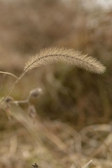 _D7K2157.jpg