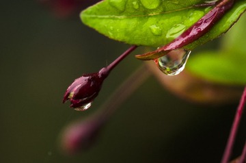 _D7K3145.jpg