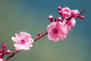 5438