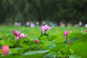 8800