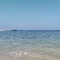 15316