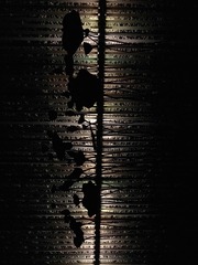 001