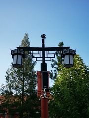 116306