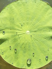 98