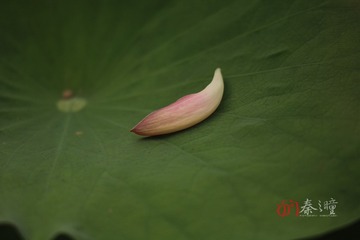 edit IMG_5260428