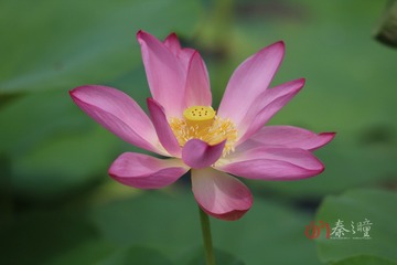 edit IMG_5349433