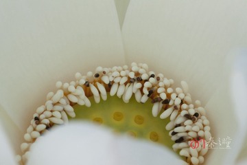 edit IMG_7414440