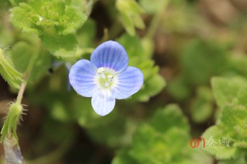 edit IMG_0465160