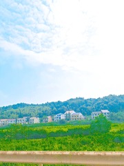 MEITU_20250731_135047561