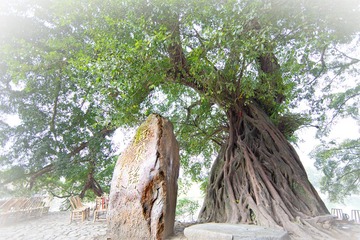 “_T6A0081”为智能对象-1