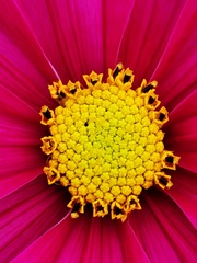 1000025573