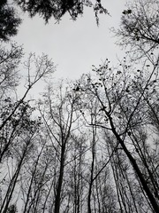 2013