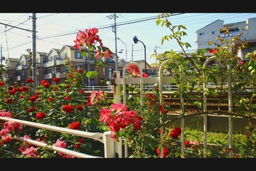9Z2A0043.jpg