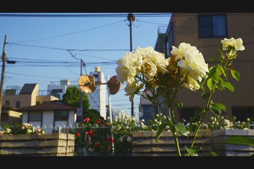 9Z2A0065.jpg