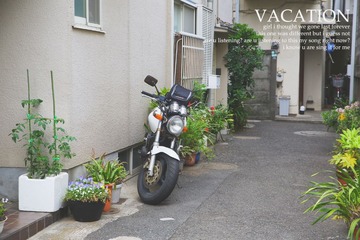 9Z2A0013.jpg