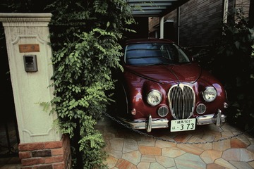 9Z2A0037副本.jpg